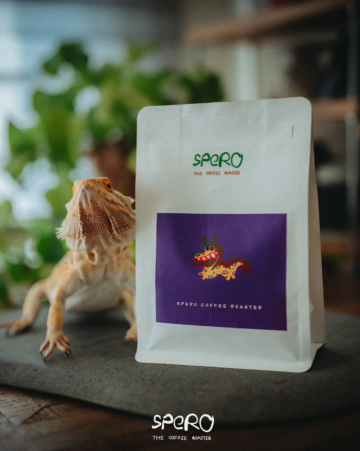 Dragon - Colombia Sliver