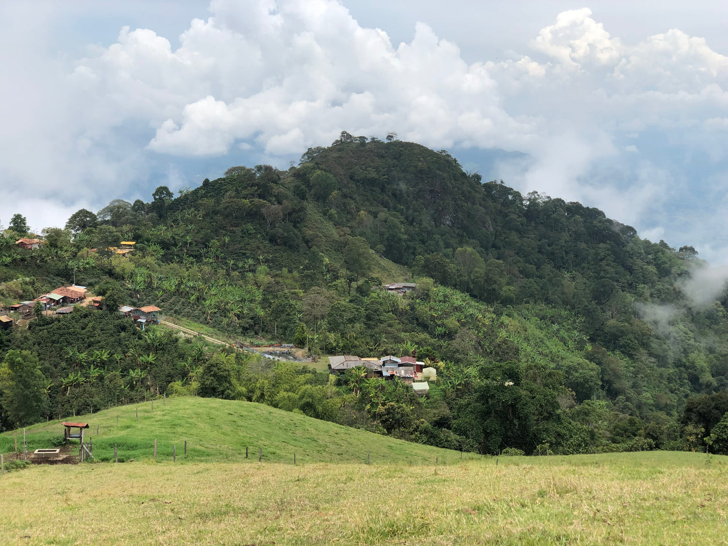 OX - Boyaca Community Blends