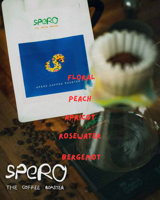 Sneak - Colombia Geisha P6