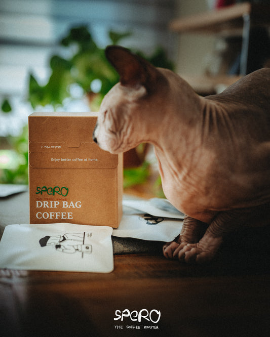 Drip Bag
